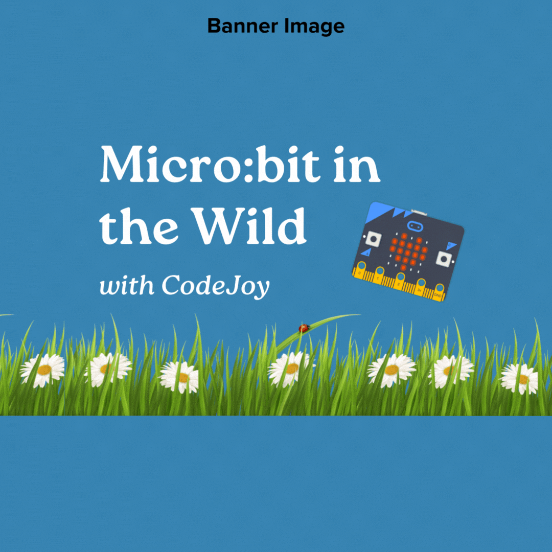 CodeJoy’s FREE Async Micro:bit Video Course!